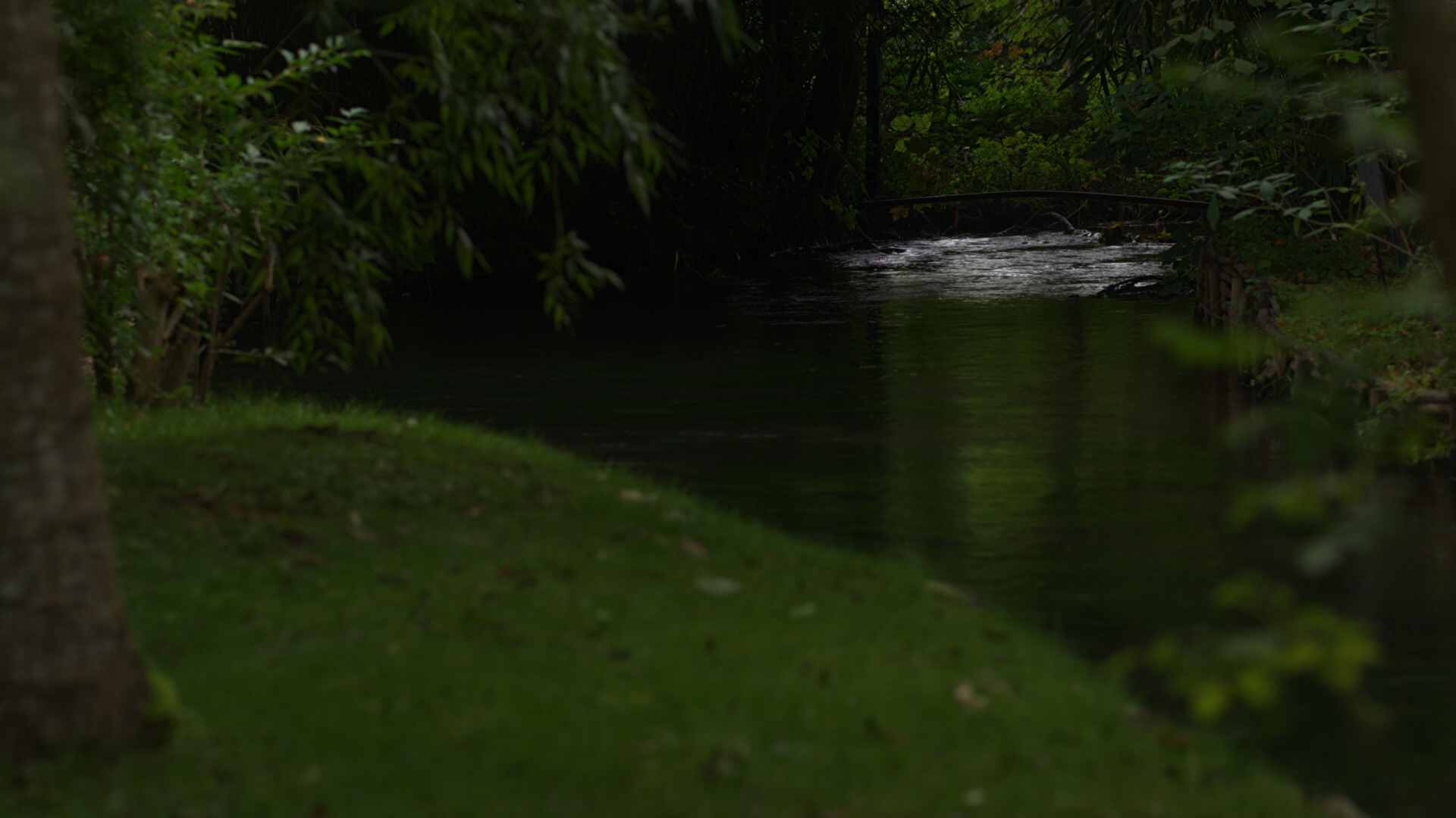 AVC_327_results2_42633Mb_3VBR_Encode-11